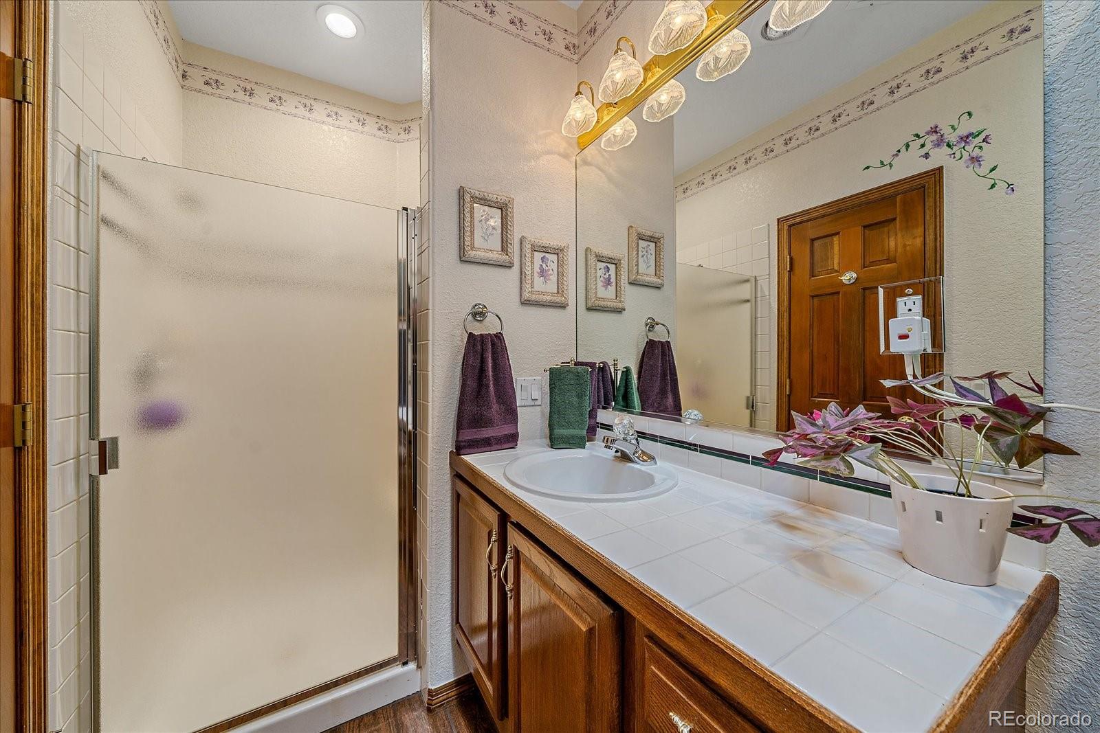 MLS Image #35 for 11421  random valley circle,parker, Colorado