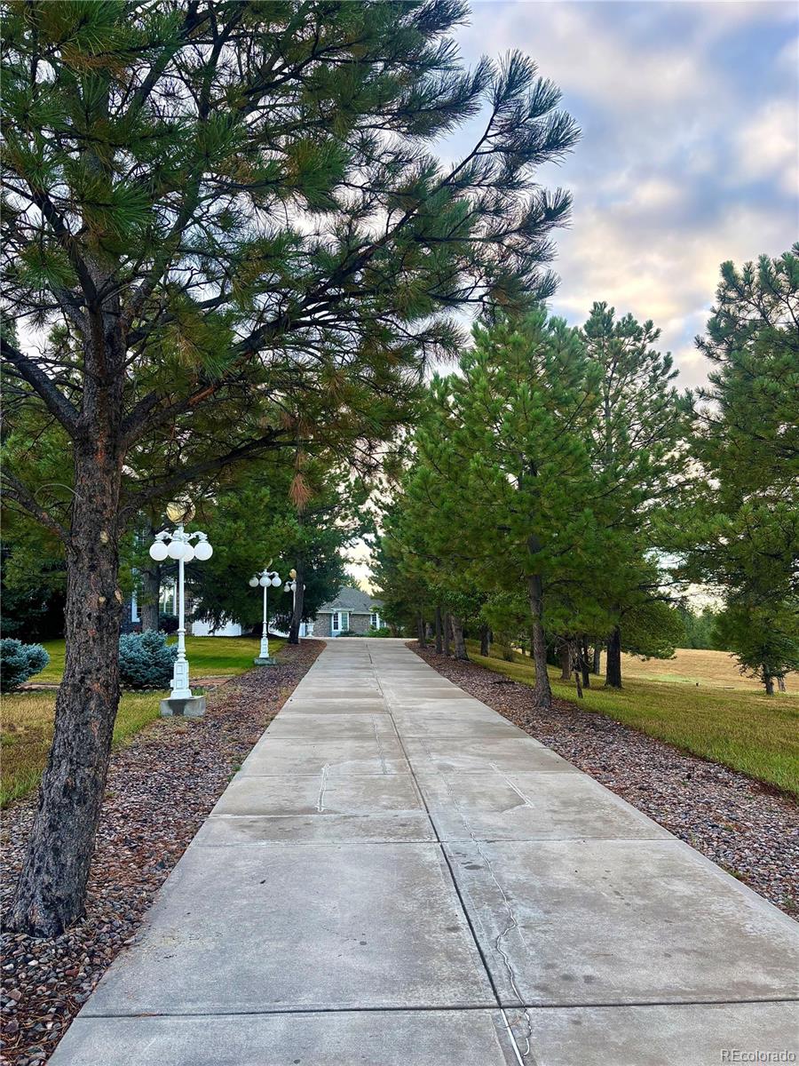 MLS Image #4 for 11421  random valley circle,parker, Colorado