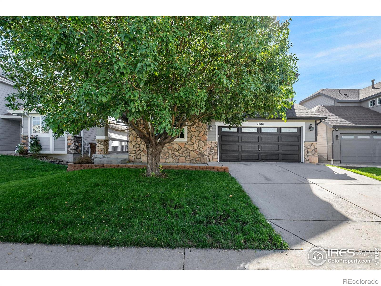 MLS Image #1 for 10684  lewiston street,commerce city, Colorado