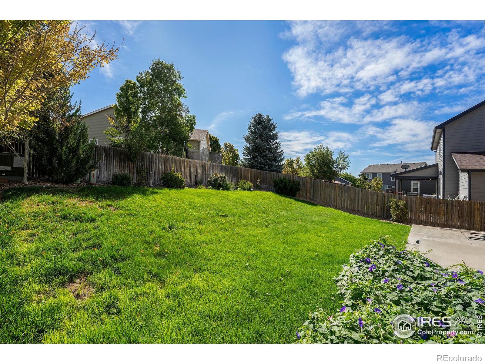 MLS Image #26 for 10684  lewiston street,commerce city, Colorado