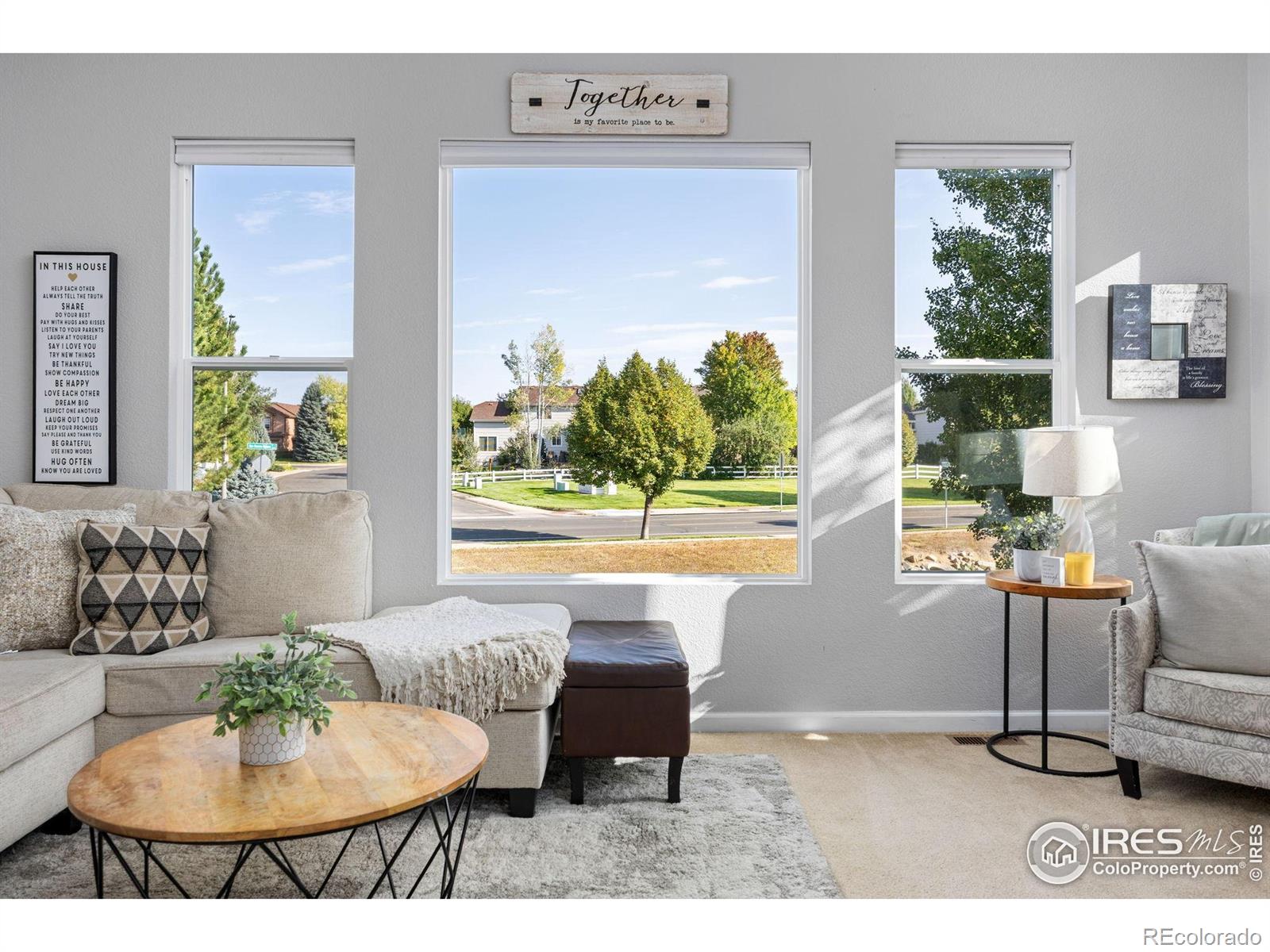 MLS Image #7 for 7003  sculpin court,fort collins, Colorado