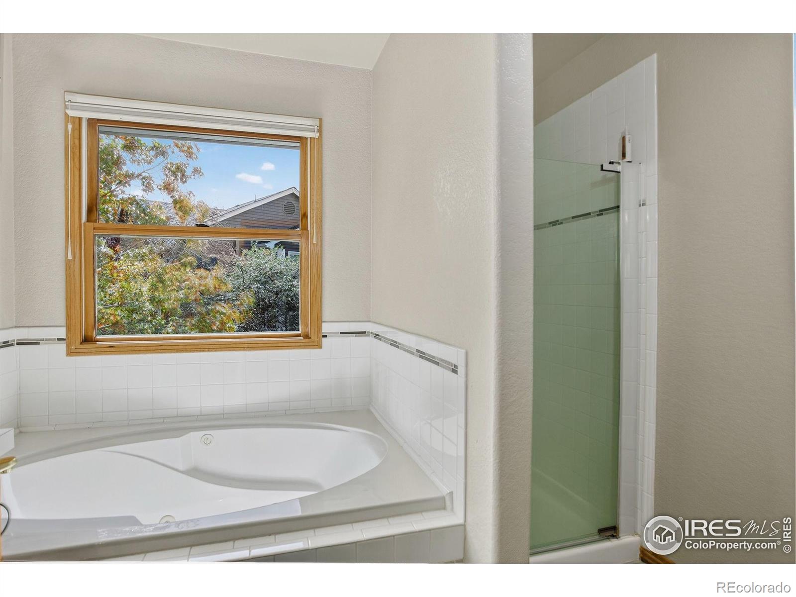 MLS Image #18 for 1840  red cloud road,longmont, Colorado