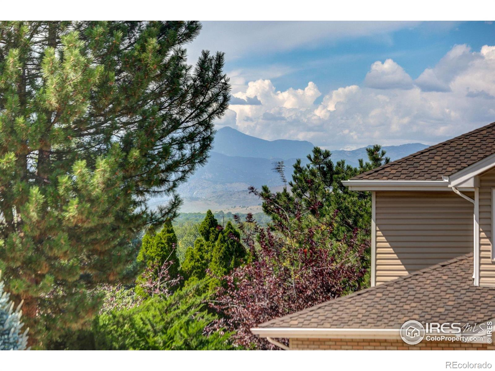 MLS Image #38 for 1840  red cloud road,longmont, Colorado