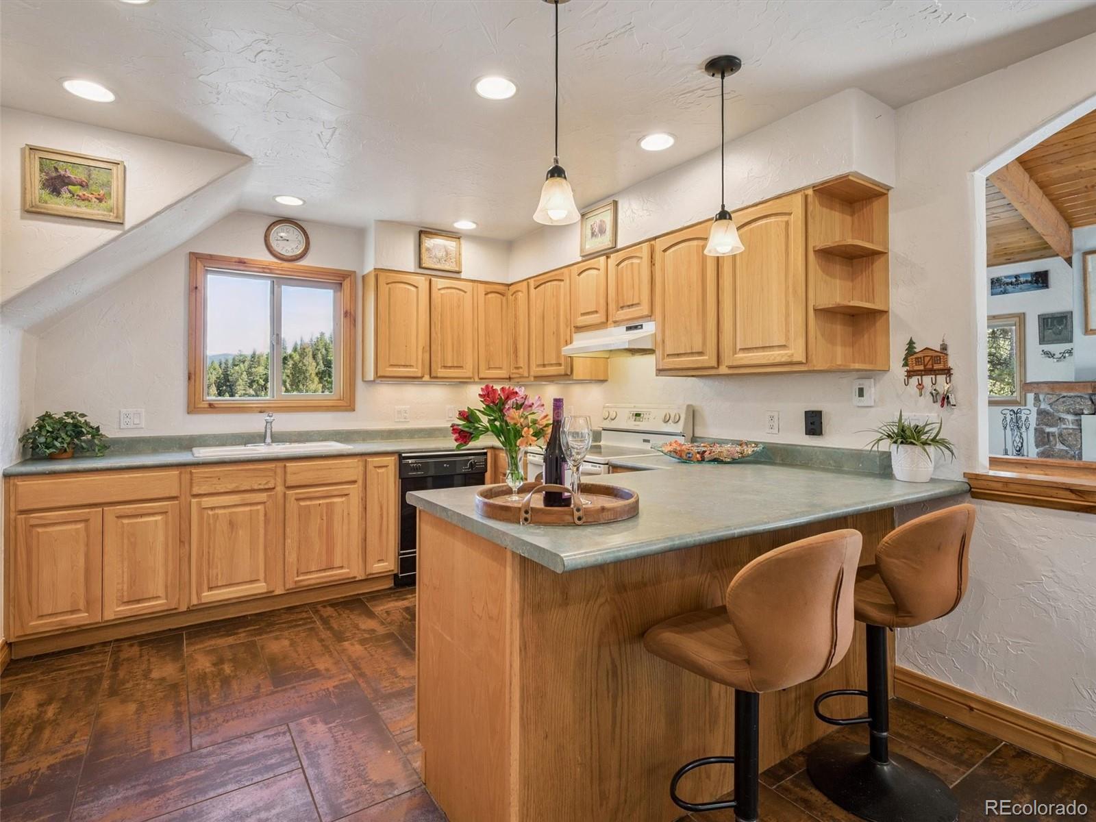 MLS Image #10 for 34273  ponca road,pine, Colorado
