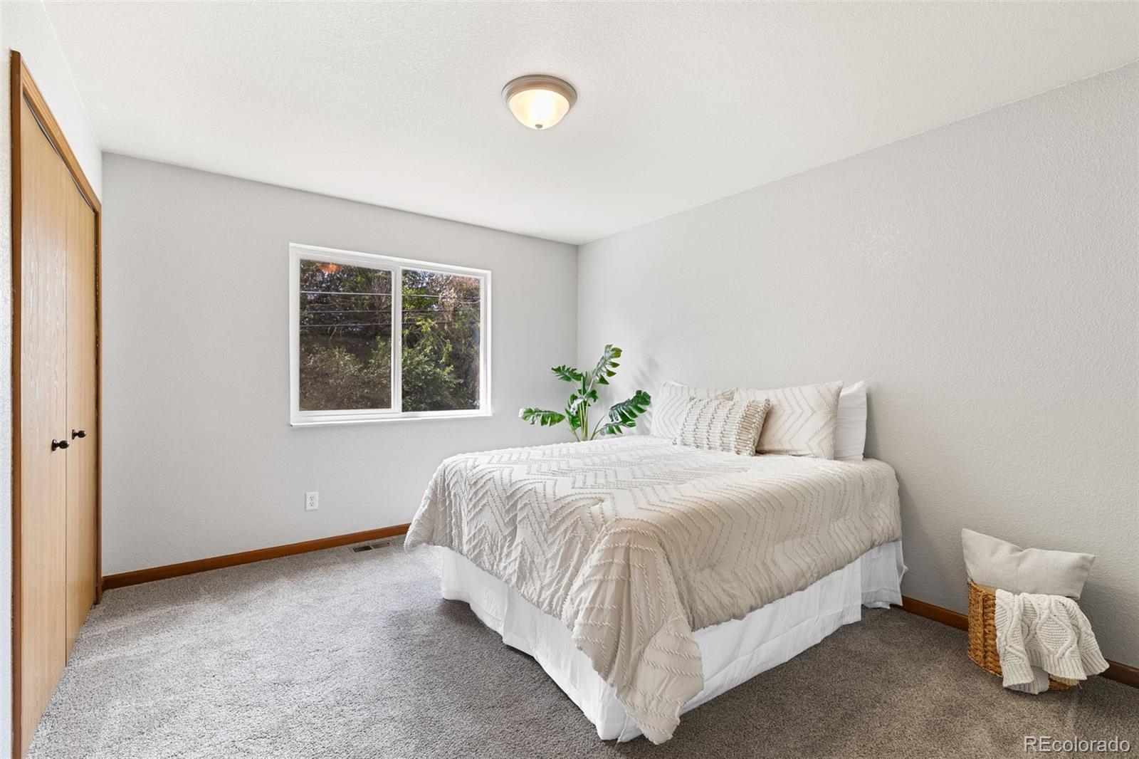 MLS Image #18 for 6224  gossamer street,colorado springs, Colorado