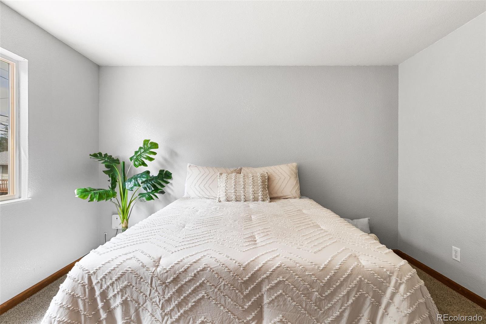 MLS Image #19 for 6224  gossamer street,colorado springs, Colorado