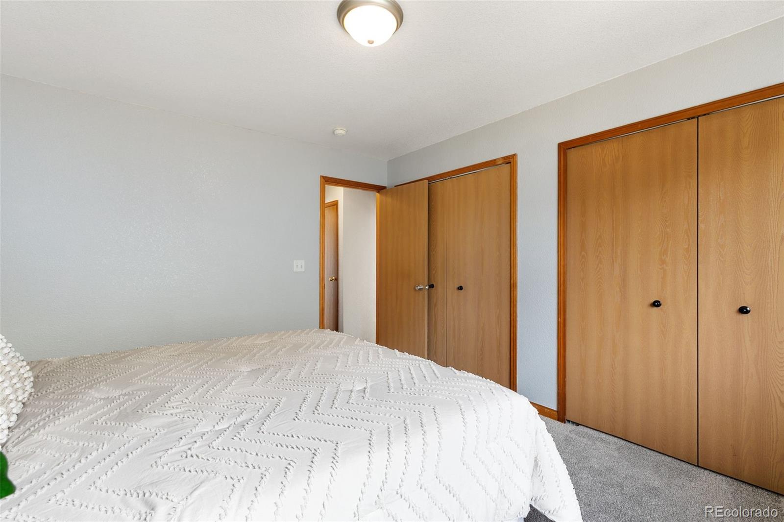 MLS Image #20 for 6224  gossamer street,colorado springs, Colorado