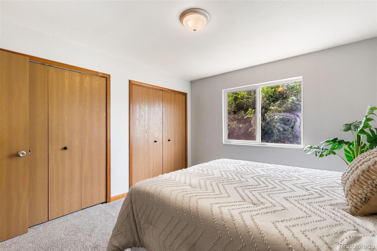MLS Image #21 for 6224  gossamer street,colorado springs, Colorado