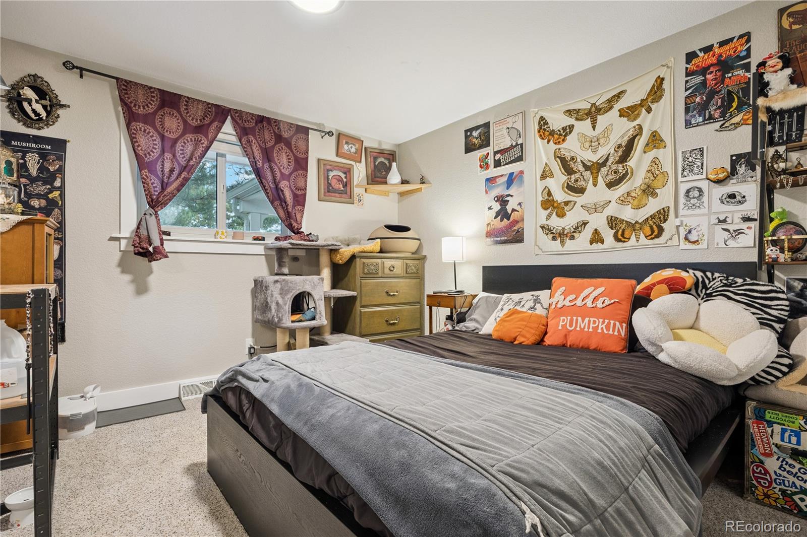 MLS Image #17 for 5321 s nelson street,littleton, Colorado