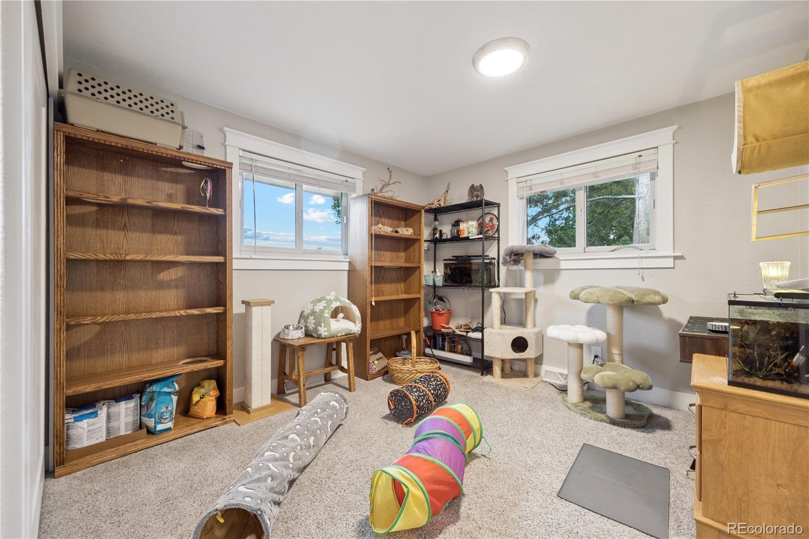 MLS Image #18 for 5321 s nelson street,littleton, Colorado