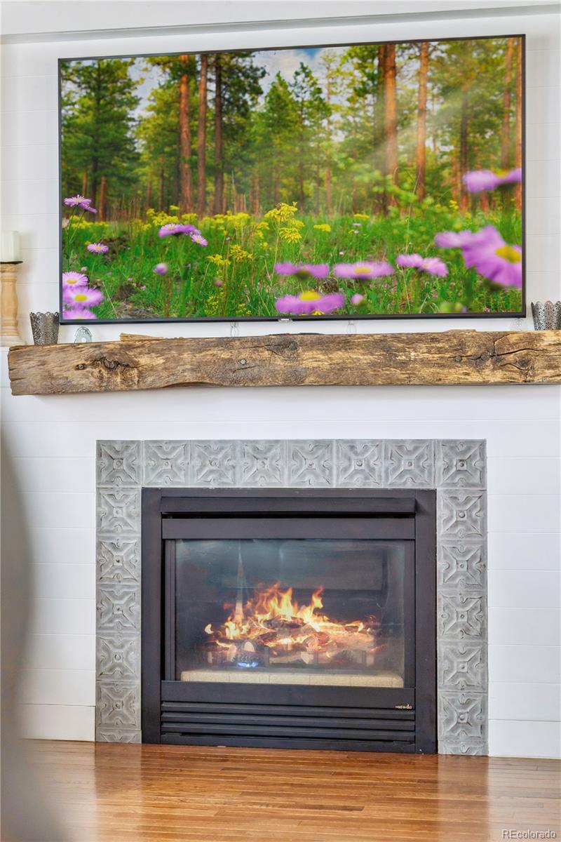 MLS Image #7 for 5321 s nelson street,littleton, Colorado