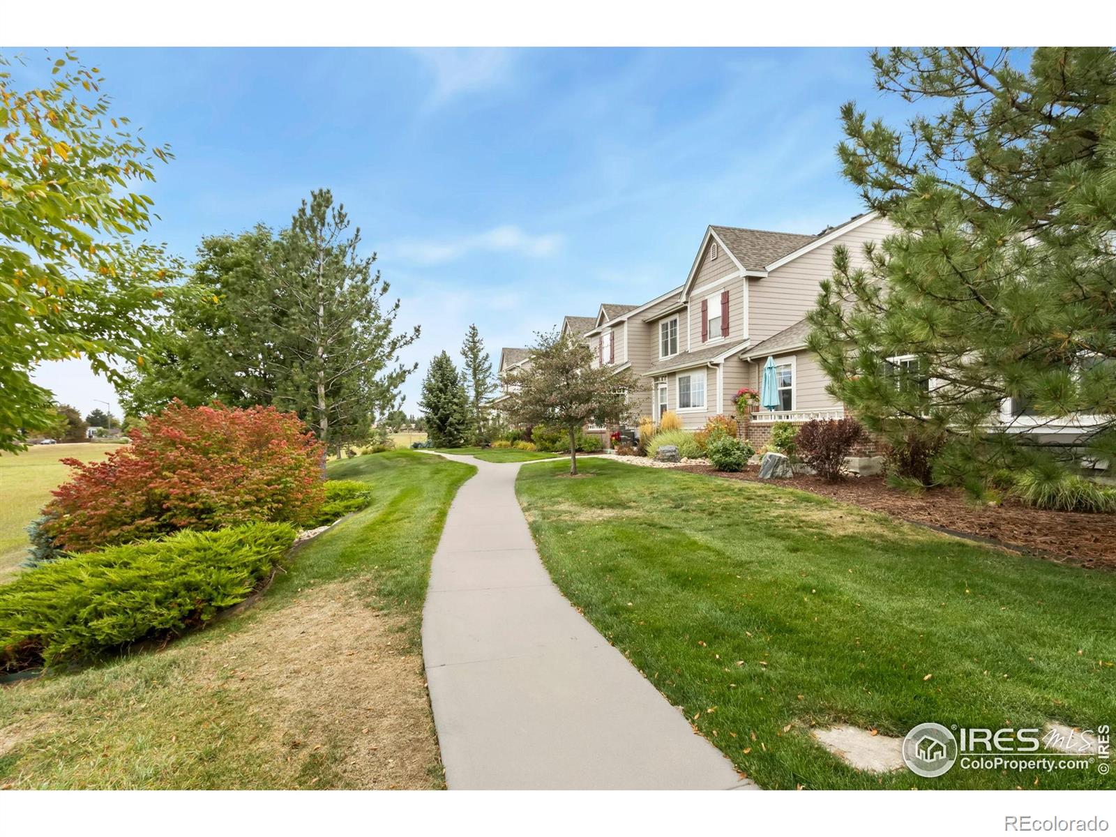 MLS Image #25 for 2920  champion circle,loveland, Colorado