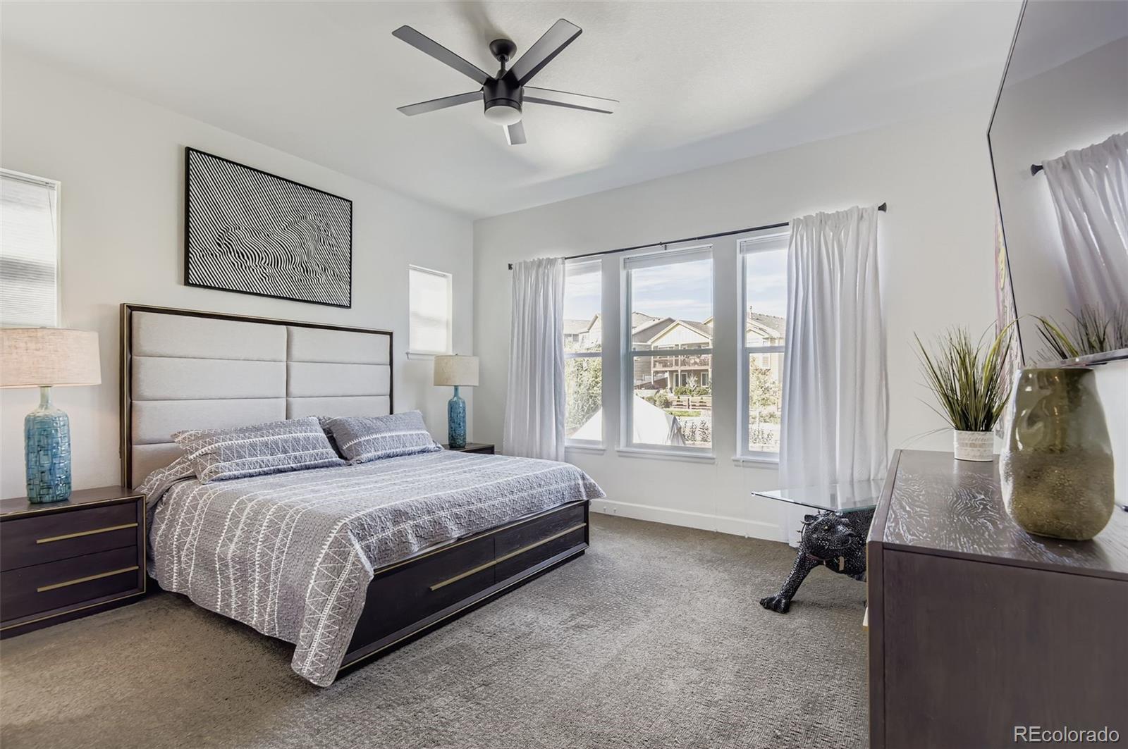 MLS Image #12 for 11109  sweet cicely drive,parker, Colorado