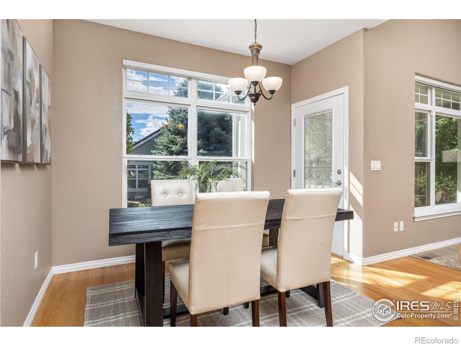 MLS Image #10 for 750  windflower drive,longmont, Colorado