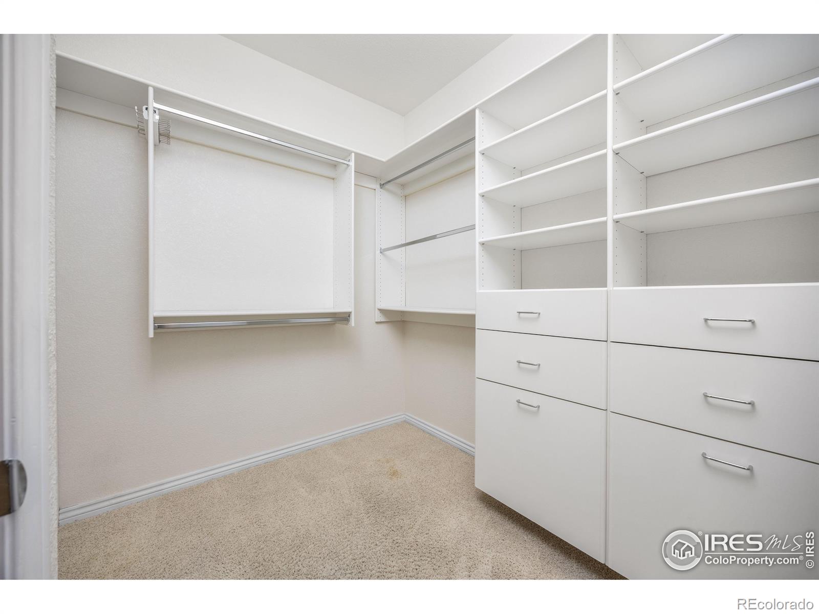 MLS Image #12 for 750  windflower drive,longmont, Colorado