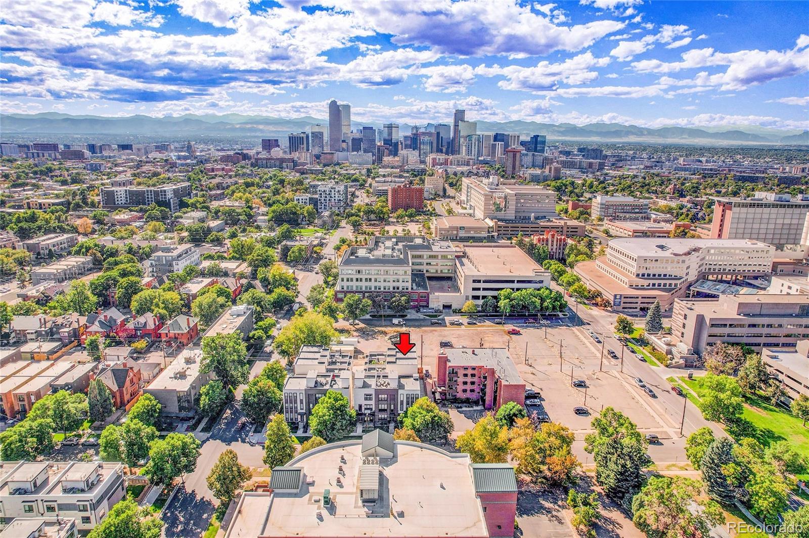 MLS Image #28 for 1815 n williams street ,denver, Colorado