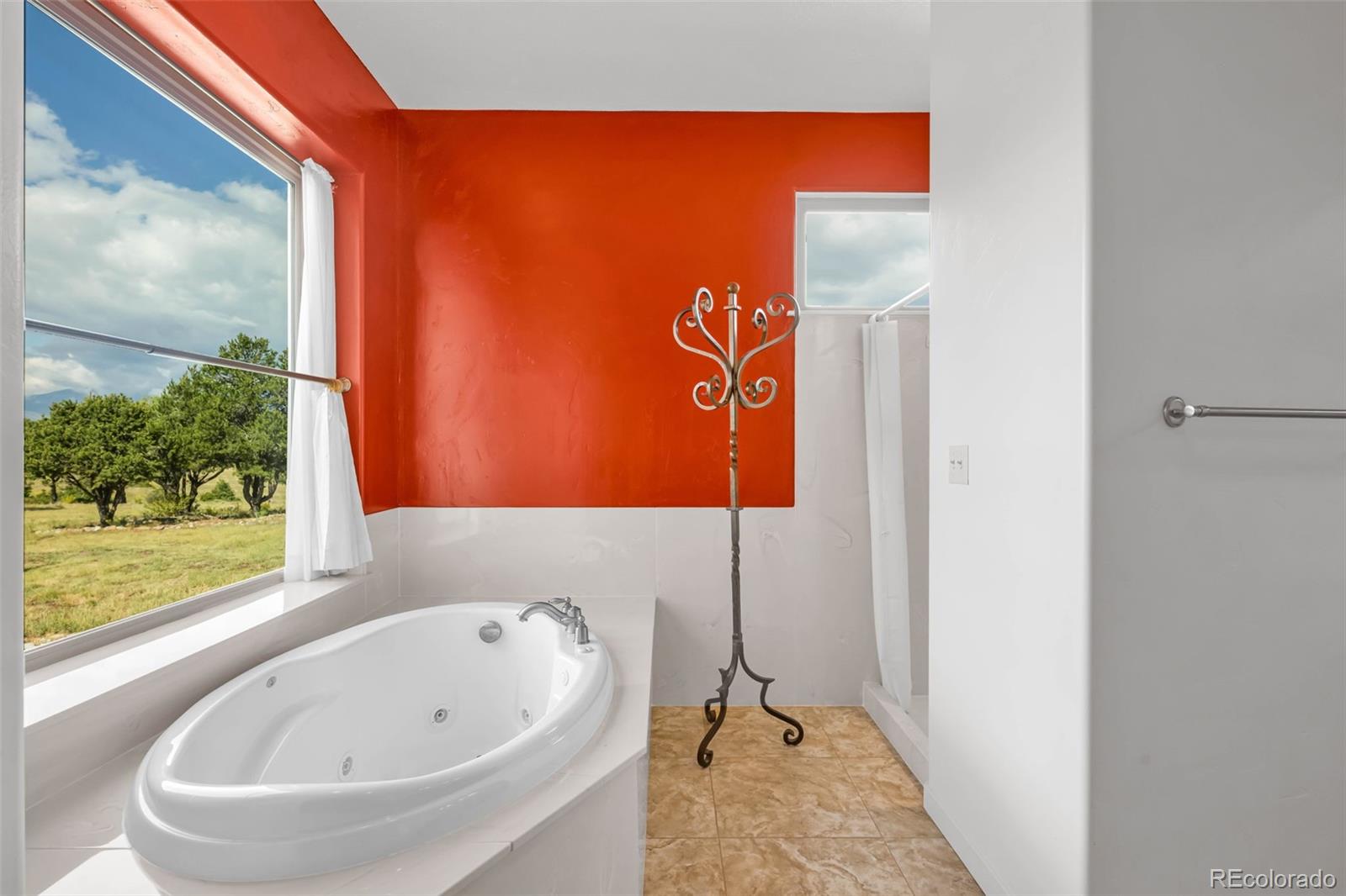 MLS Image #21 for 692  sunrise ridge ,cotopaxi, Colorado