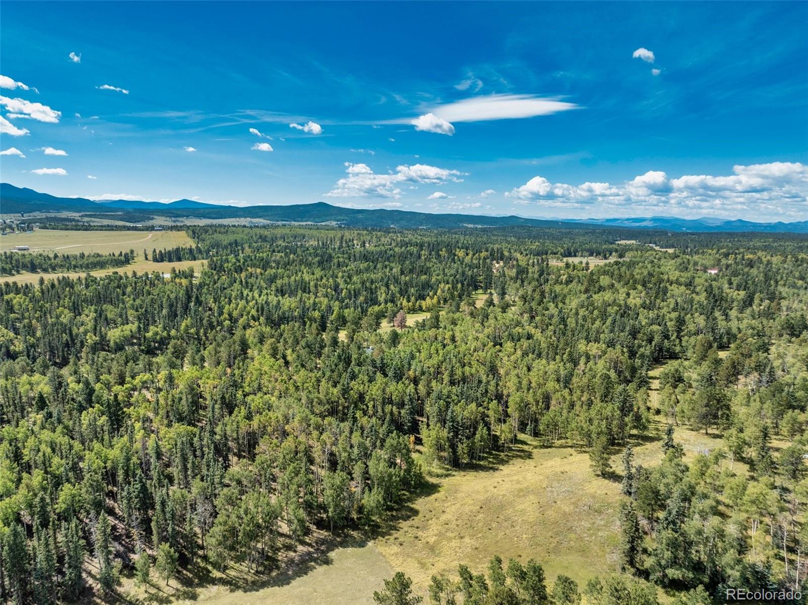 MLS Image #43 for 284  county road 511 road,divide, Colorado
