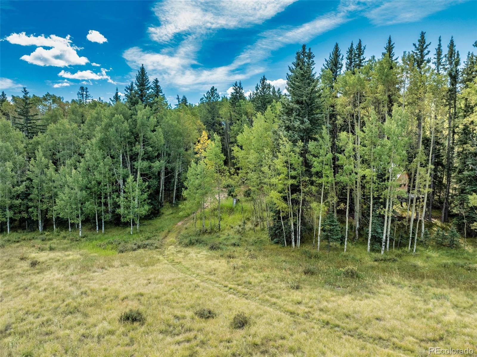 MLS Image #47 for 284  county road 511 road,divide, Colorado