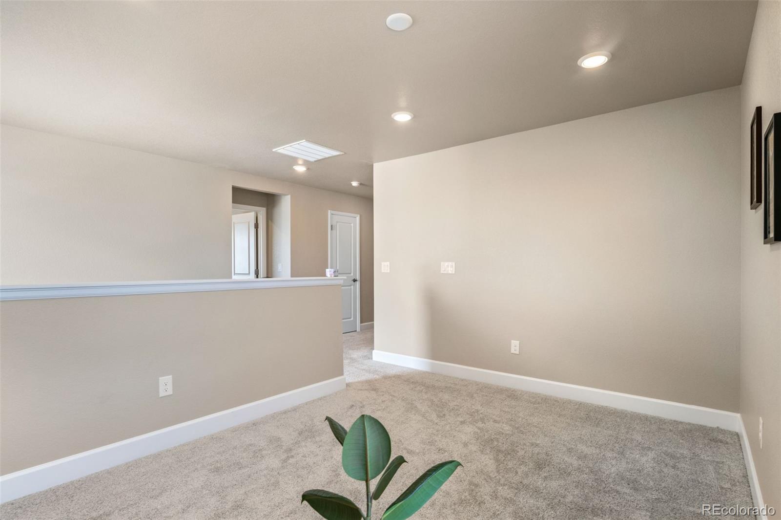 MLS Image #24 for 3888  red valley lane,castle rock, Colorado