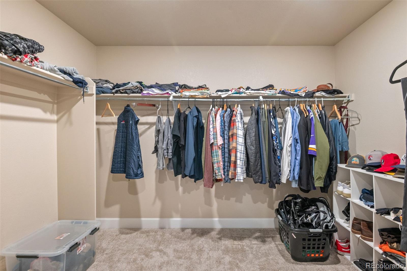 MLS Image #29 for 3888  red valley lane,castle rock, Colorado