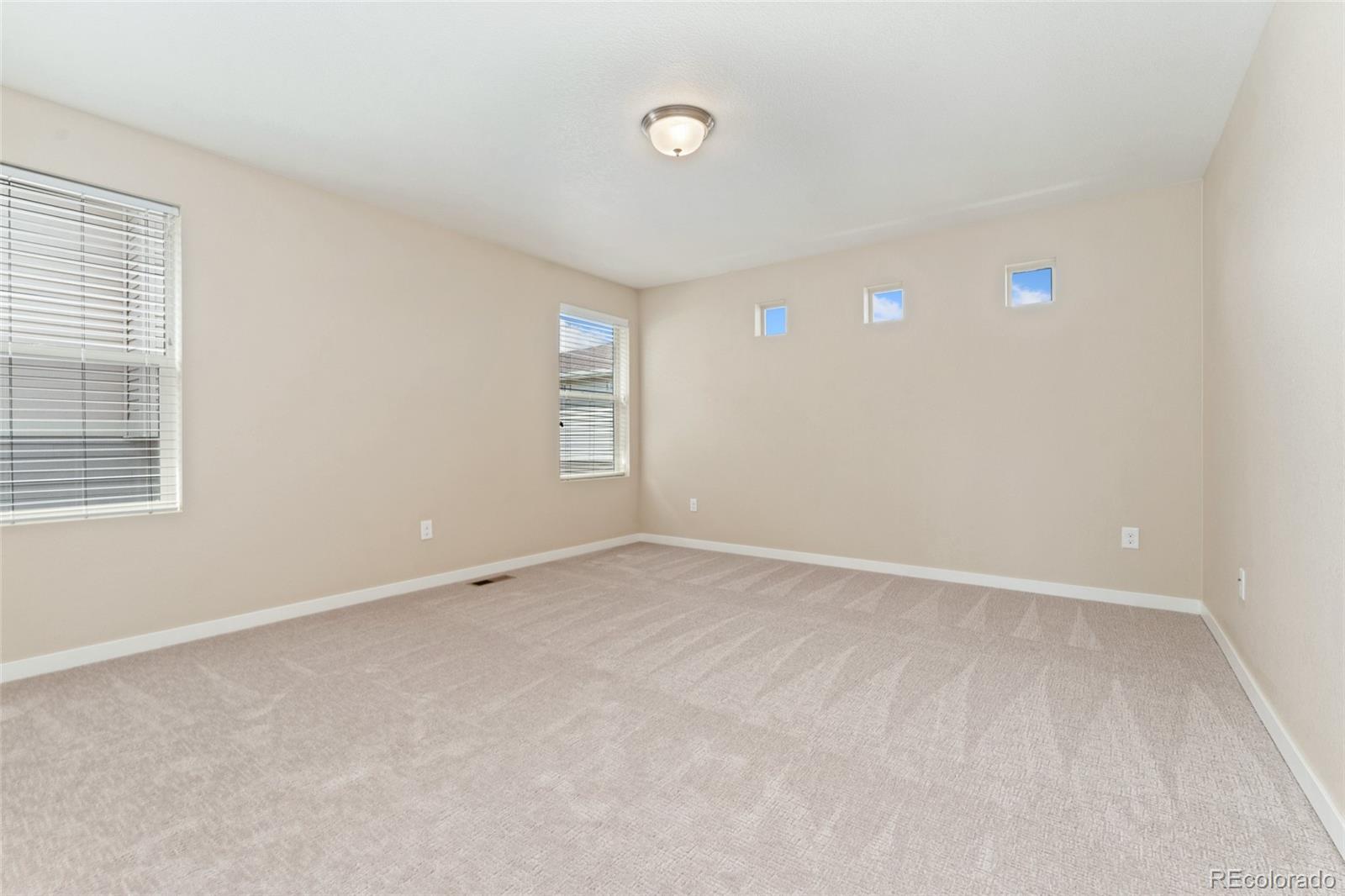 MLS Image #21 for 3120  jonquil street,castle rock, Colorado