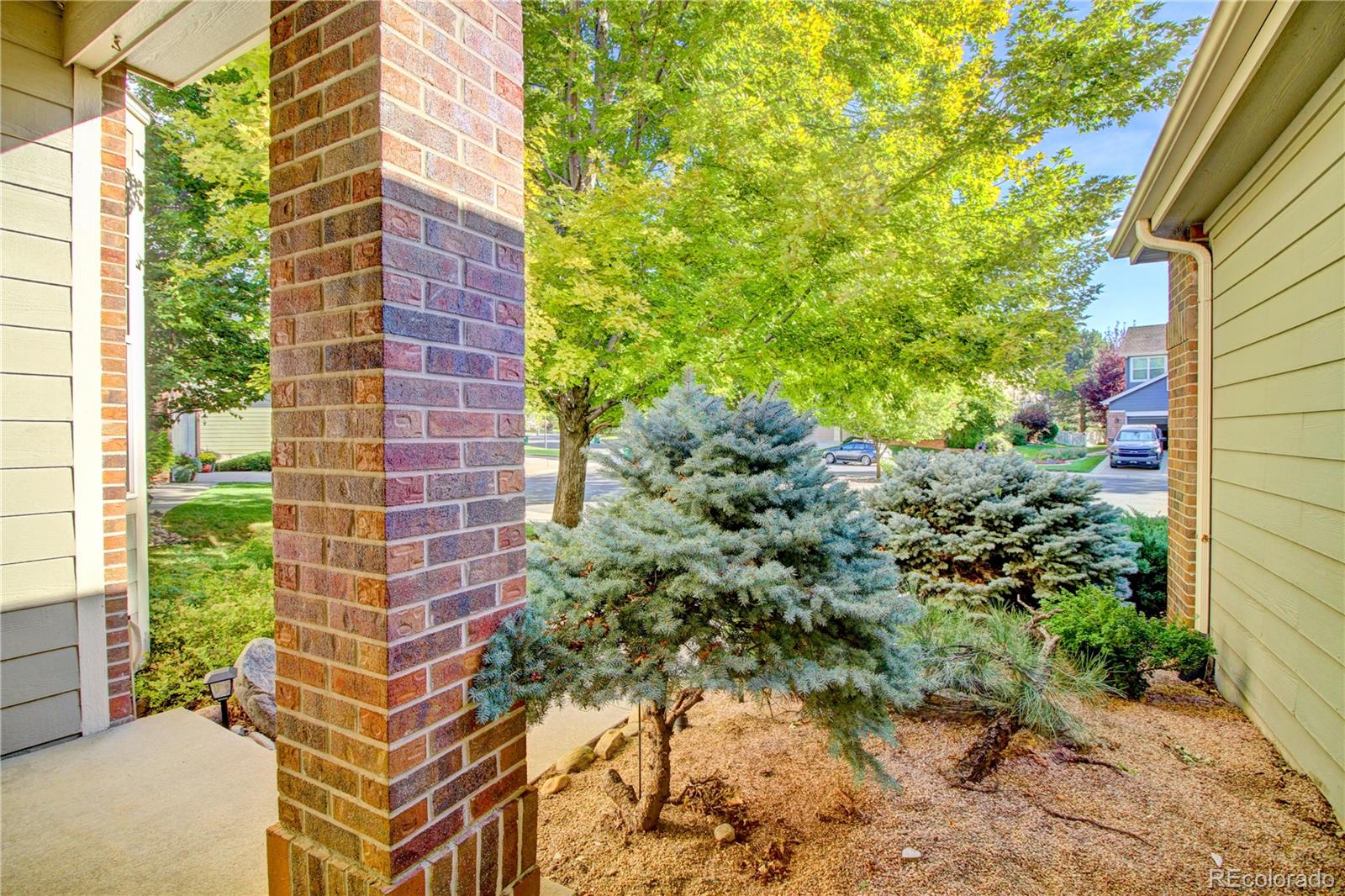 MLS Image #7 for 6254  devinney circle,arvada, Colorado