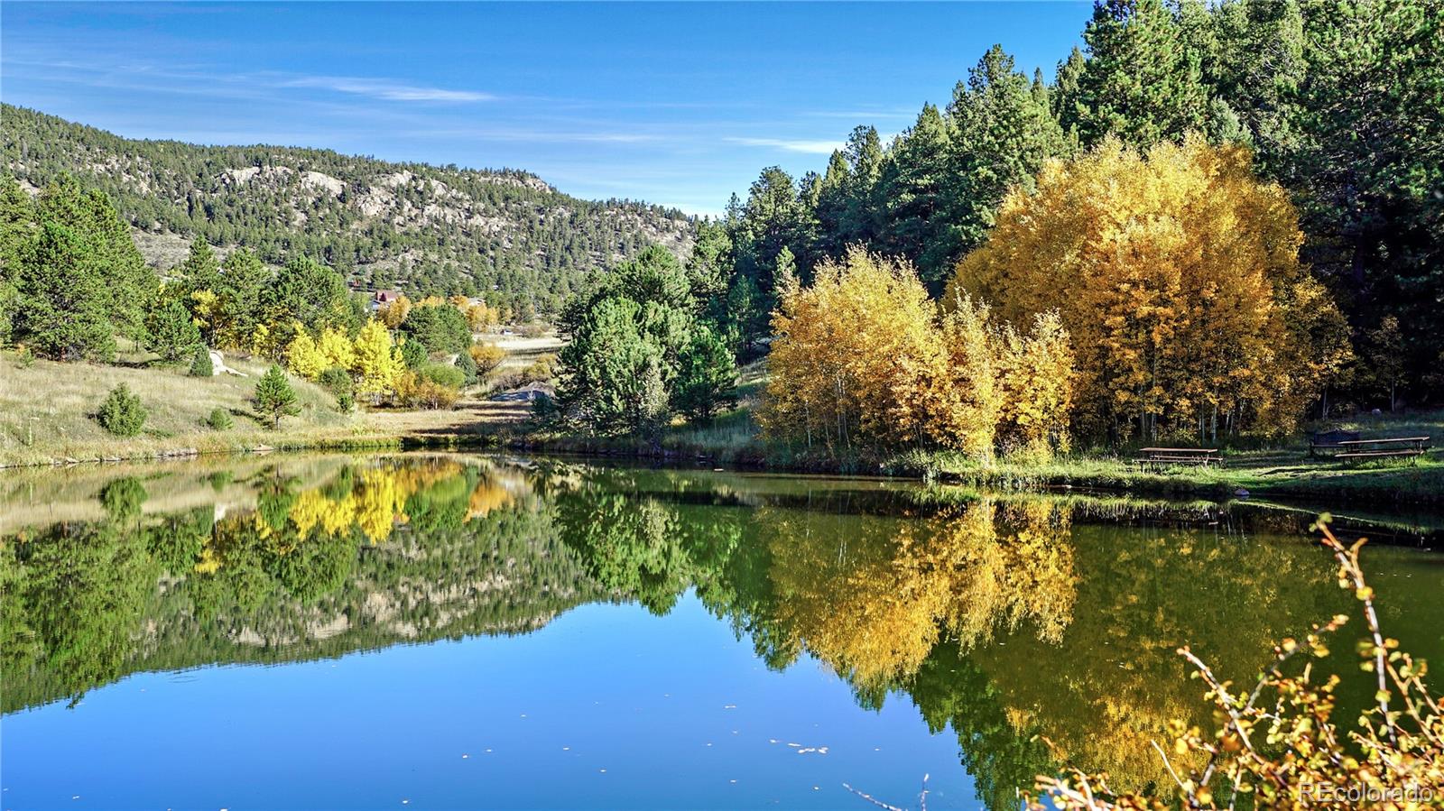 MLS Image #22 for 279  wisp creek drive,bailey, Colorado