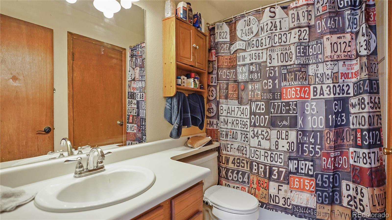 MLS Image #6 for 279  wisp creek drive,bailey, Colorado
