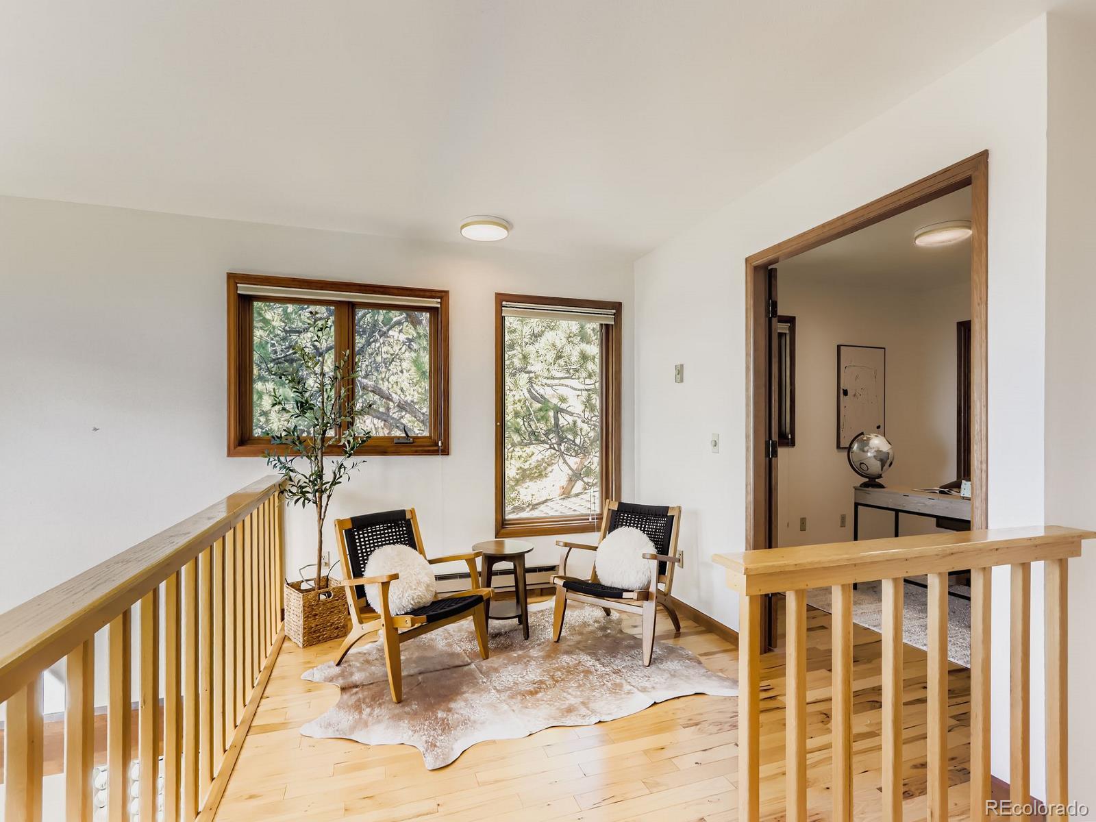 MLS Image #11 for 677  sky trail road,boulder, Colorado