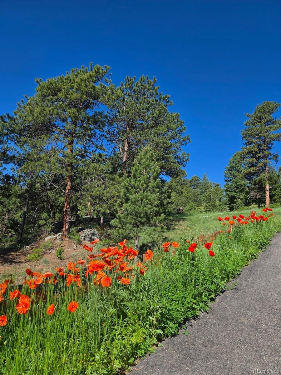 MLS Image #39 for 677  sky trail road,boulder, Colorado