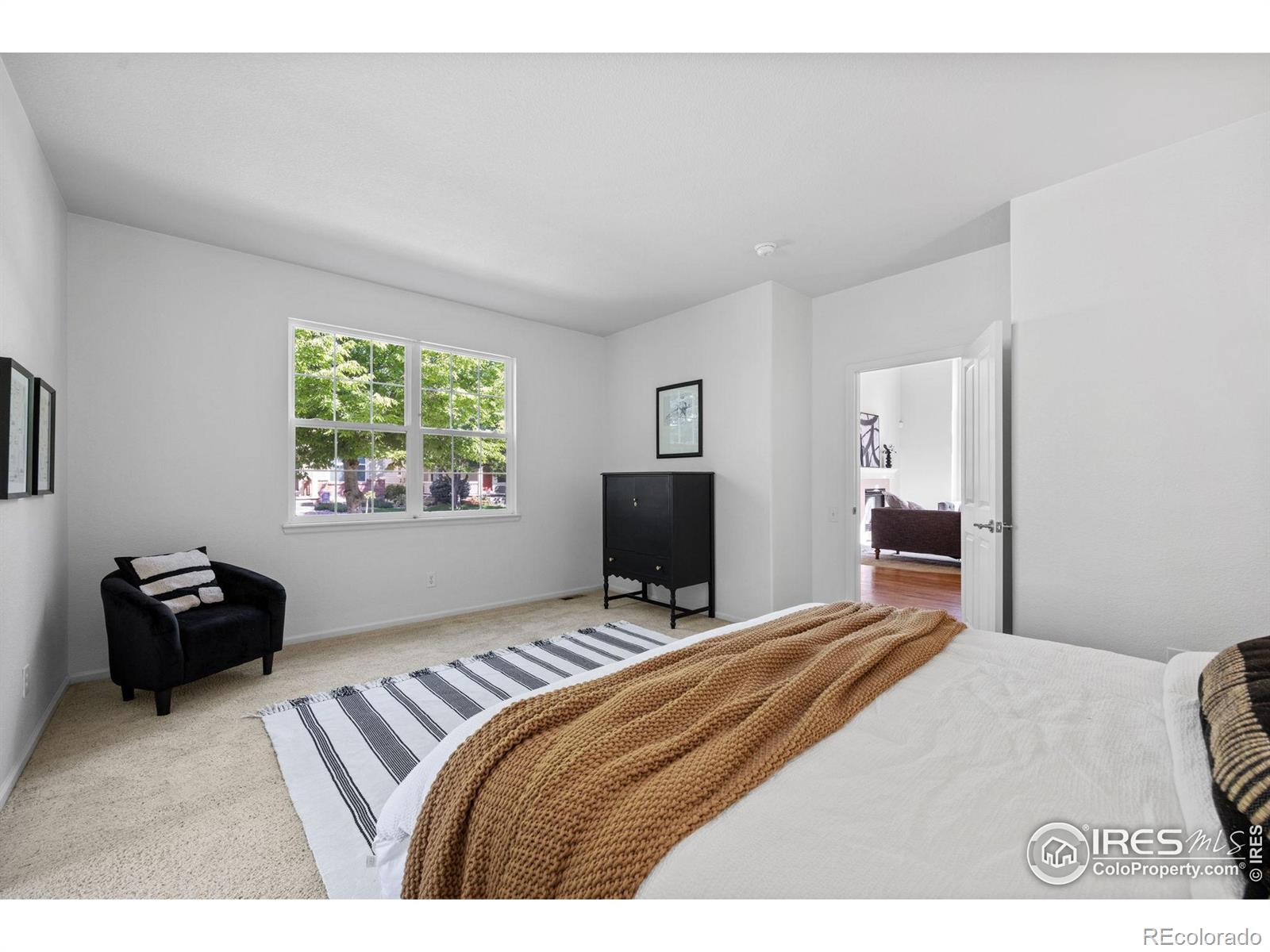 MLS Image #15 for 2721  county fair lane,fort collins, Colorado