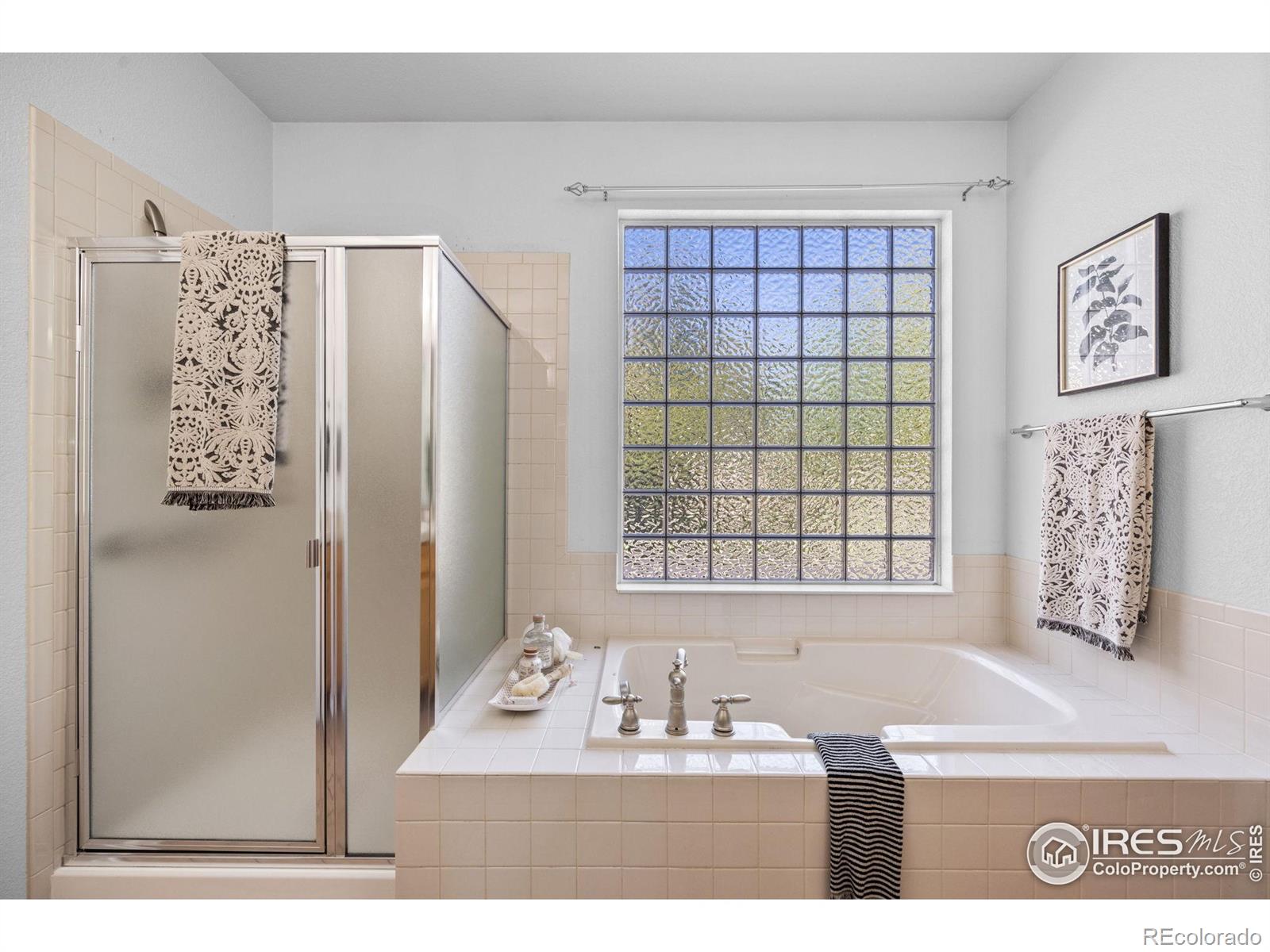 MLS Image #17 for 2721  county fair lane,fort collins, Colorado