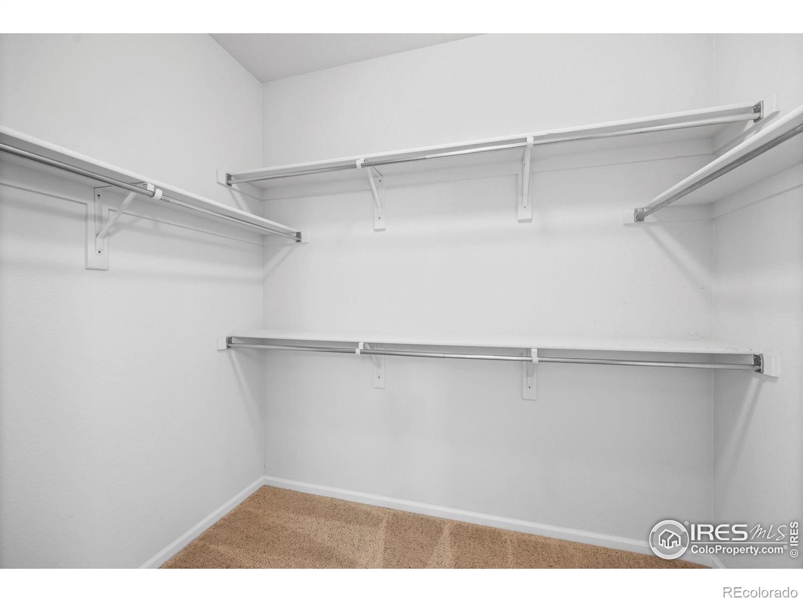 MLS Image #19 for 2721  county fair lane,fort collins, Colorado