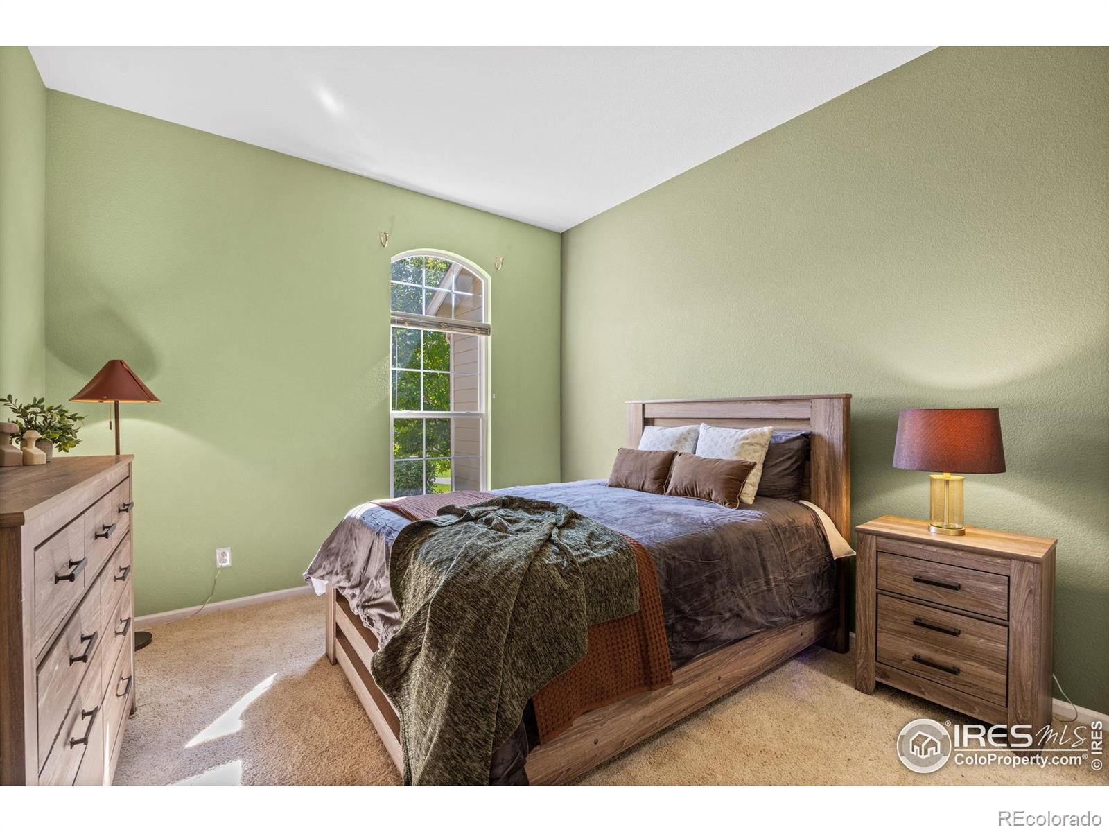 MLS Image #20 for 2721  county fair lane,fort collins, Colorado
