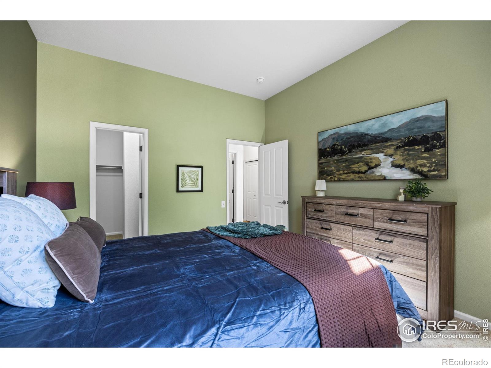 MLS Image #21 for 2721  county fair lane,fort collins, Colorado