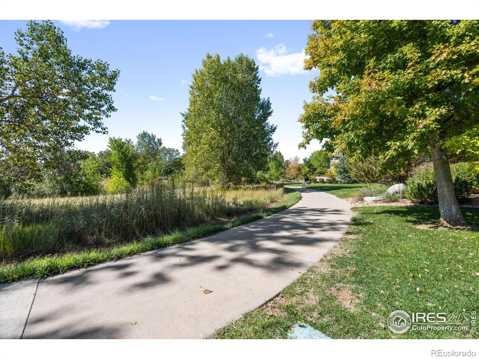 MLS Image #38 for 2721  county fair lane,fort collins, Colorado