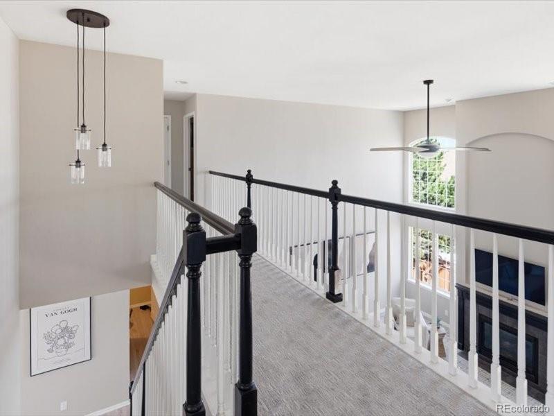 MLS Image #20 for 10048  brisbane way,highlands ranch, Colorado