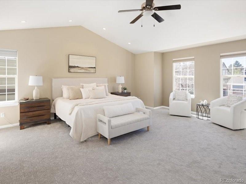MLS Image #21 for 10048  brisbane way,highlands ranch, Colorado