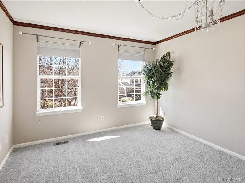 MLS Image #27 for 10048  brisbane way,highlands ranch, Colorado