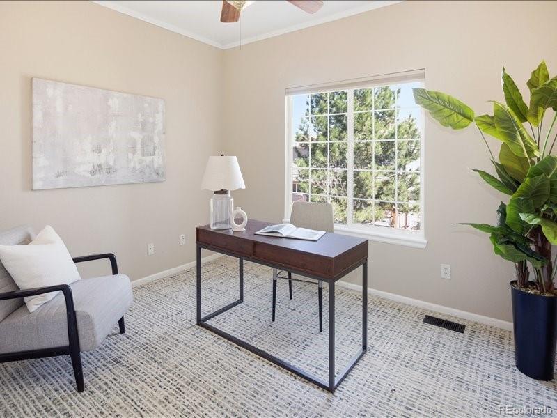 MLS Image #29 for 10048  brisbane way,highlands ranch, Colorado