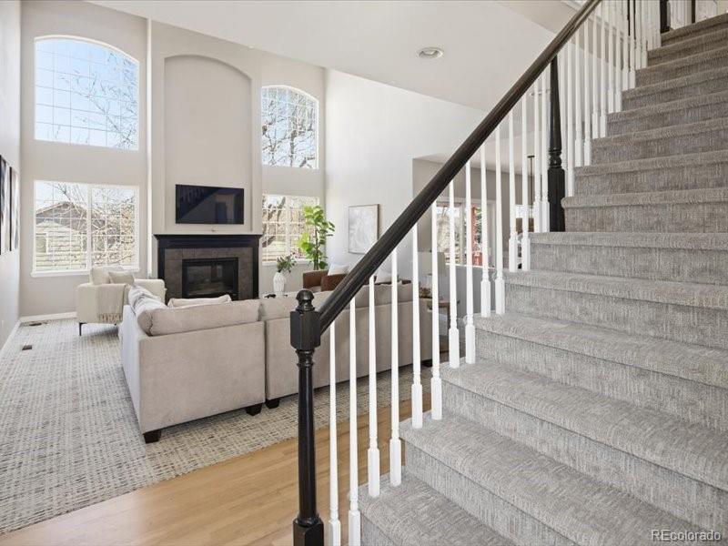 MLS Image #6 for 10048  brisbane way,highlands ranch, Colorado