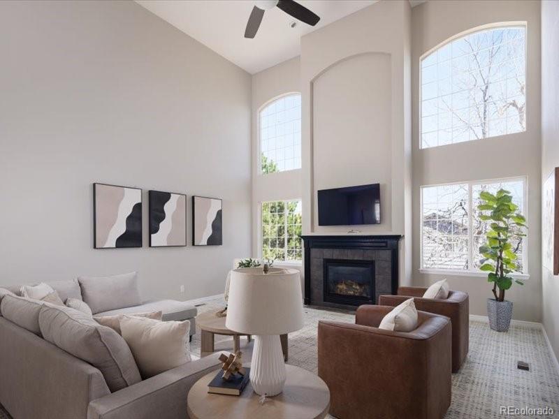 MLS Image #8 for 10048  brisbane way,highlands ranch, Colorado