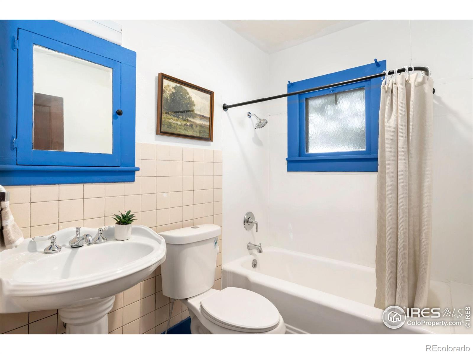 MLS Image #15 for 430 e plum street,fort collins, Colorado