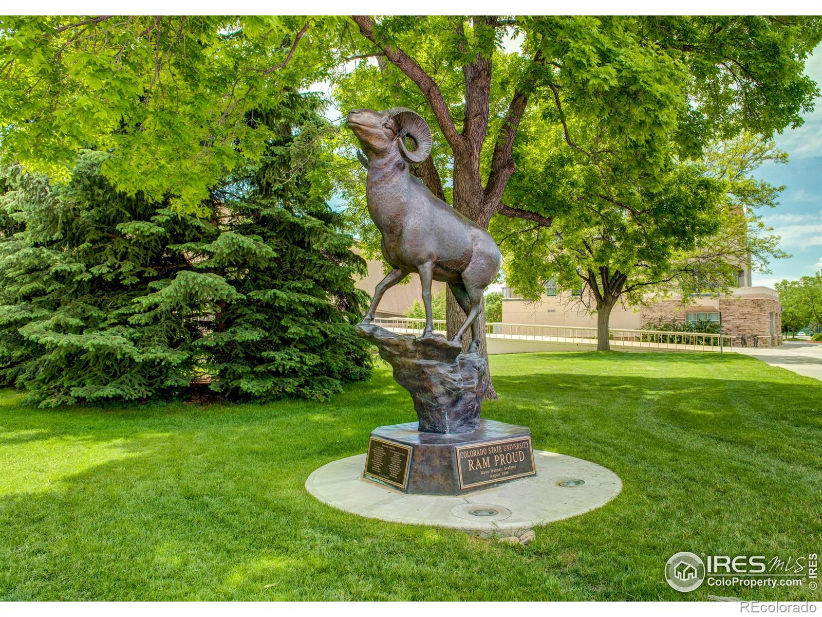 MLS Image #35 for 430 e plum street,fort collins, Colorado
