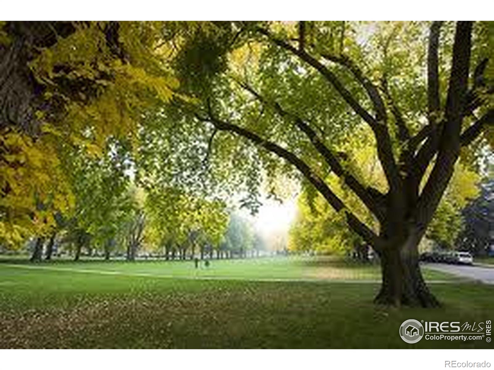 MLS Image #37 for 430 e plum street,fort collins, Colorado