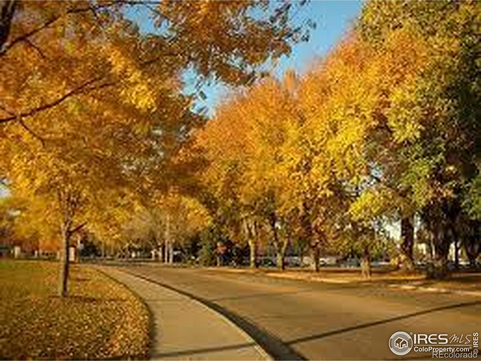 MLS Image #38 for 430 e plum street,fort collins, Colorado