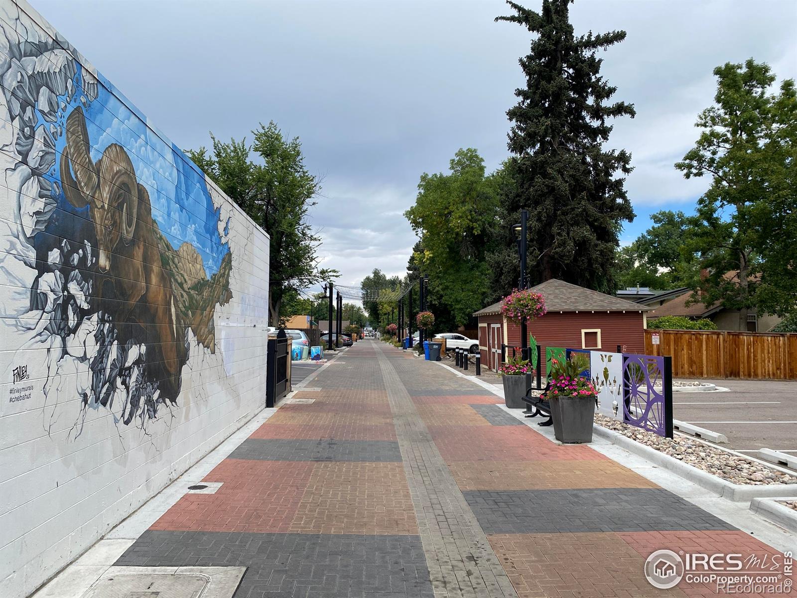 MLS Image #39 for 430 e plum street,fort collins, Colorado