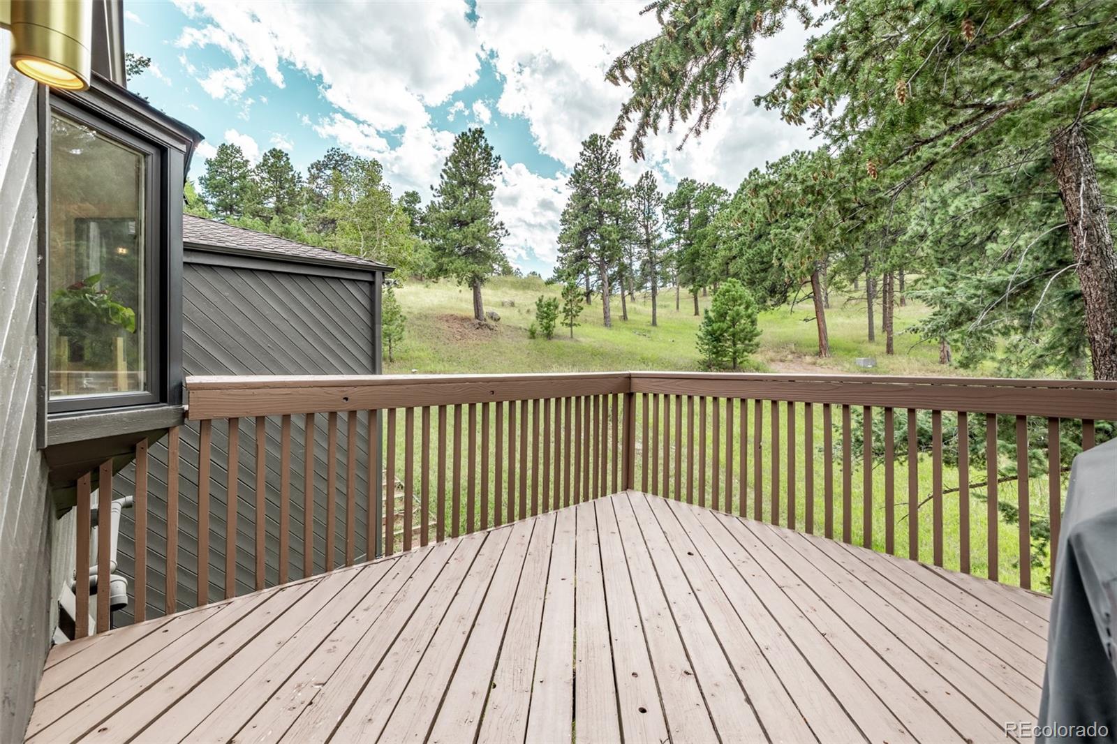 MLS Image #14 for 1139  genesee vista road,golden, Colorado
