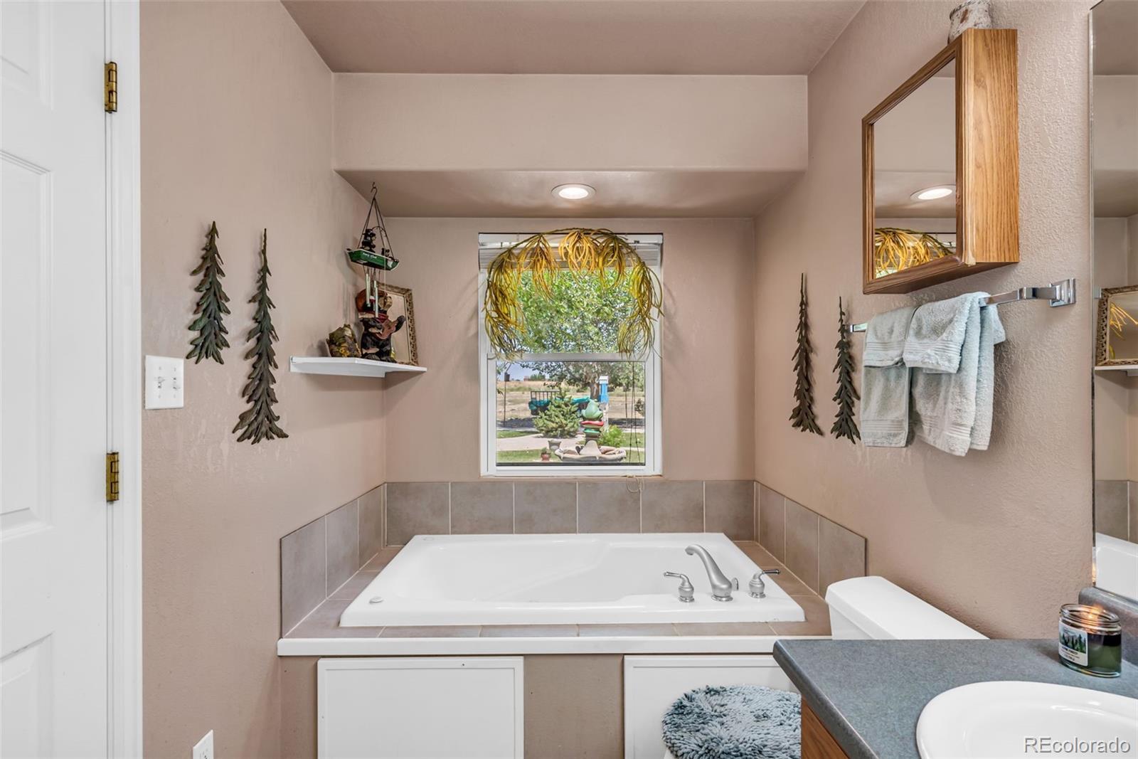 MLS Image #15 for 886 s camino de bravo ,pueblo, Colorado